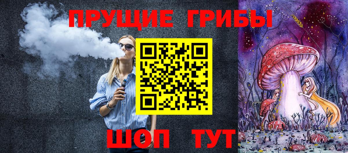 Галлюциногенные грибы Psilocybe Прокопьевск