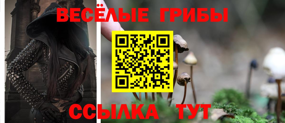 Псилоцибиновые грибы ЛСД  Псилоцибиновые грибы MAGIC MUSHROOMS  Прокопьевск  Вход с VPN 